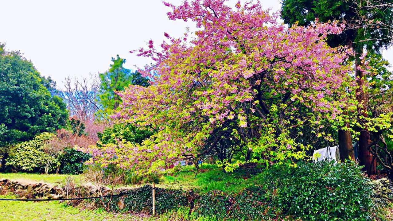 Forest Villa Olive Futo Exteriör bild
